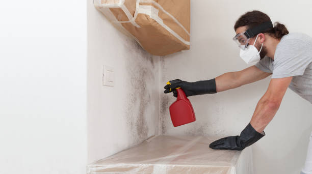 Professional Mold Remediation technician working in Dimondale, MI